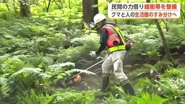 クマと人、生活圏のすみ分けへ　民間の力借り緩衝帯を整備　国有林で伐採や下草の刈り払い　秋田・大仙市