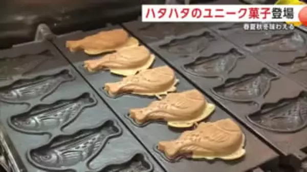 たい焼きならぬ『ハタハタ焼き』の店、秋田市民市場にオープン　こだわりのおやつで“ハタハタ文化”つなぐ