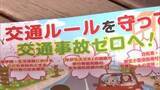 「「交通事故死ゼロを目指す日」　歩行者優先！ながらスマホをしない！交通事故防止呼びかけ　秋田・湯沢市」の画像1