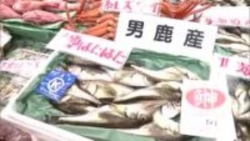 初漁迎えた季節ハタハタ店頭に並ぶ　鮮魚店では過去最高の1匹約4000円で販売　秋田市