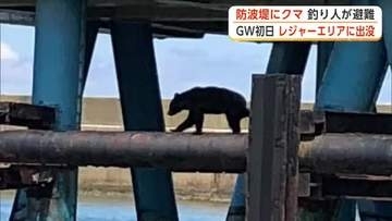 防波堤にクマ出没で釣り客避難　GW初日のレジャーエリアが騒然　秋田