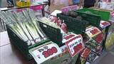 「新鮮で旬の野菜や果物がずらり　若手農家が自ら販売する「うめもんマルシェ」開催　秋田市」の画像1