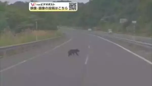 毎日通る道にクマ　高速道横切る姿、ドライブレコーダーが捉える　ドライバー「怖かった」　秋田・大仙市