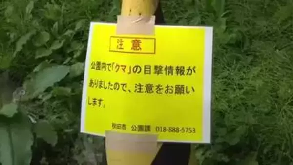 2025年も出没相次いだ千秋公園でクマ目撃　公園の立ち入り規制は行わず　観光客は不安の表情　秋田市