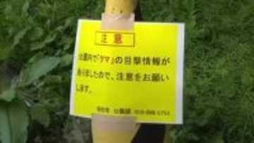 2025年も出没相次いだ千秋公園でクマ目撃　公園の立ち入り規制は行わず　観光客は不安の表情　秋田市