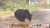 「大型連休のにぎわいの裏でクマの脅威　6日間で目撃99件、予想超える出没　専門家「正しく恐れて」　秋田」の画像1