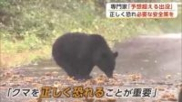 大型連休のにぎわいの裏でクマの脅威　6日間で目撃99件、予想超える出没　専門家「正しく恐れて」　秋田