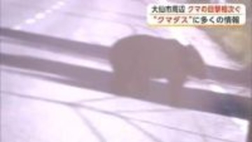 大仙市内でクマの目撃相次ぐ　出社時にニアミスの会社員も　クマダスに多くの情報寄せられる　秋田