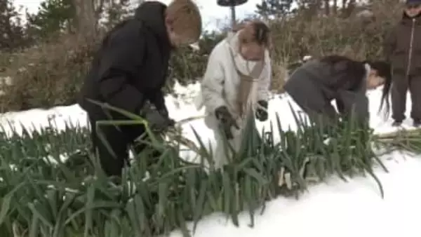 農業×ITで若者を地域へ　秋田・にかほ市で学生向け農業体験プログラム始動　担い手不足に挑む農業法人とIT企業の異業種連携で地域の未来を切り開く