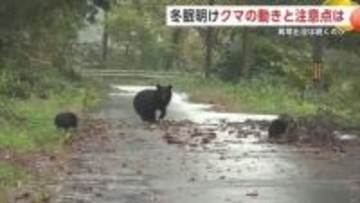 冬眠から覚めるクマ　専門家「恐れ過ぎず人の存在アピールを」　朝晩の1人行動は控えるよう注意　秋田