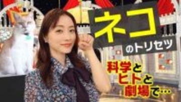 NHK、ネコブームに科学で迫る「ネコのトリセツ」。総合・NHK ONEで今夜