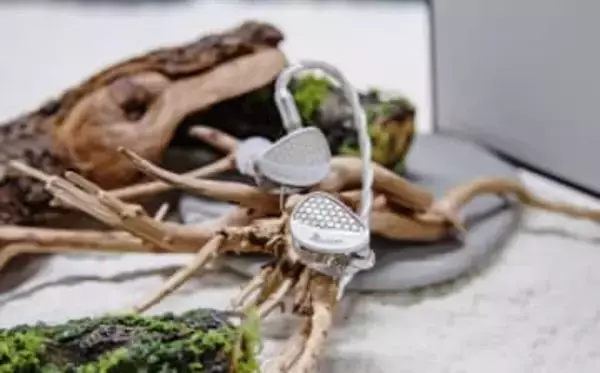 Kiwi Ears、“透明ボディ”にBA×10基。有線イヤフォン「Orchestra Ⅱ」