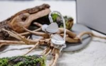 Kiwi Ears、“透明ボディ”にBA×10基。有線イヤフォン「Orchestra Ⅱ」