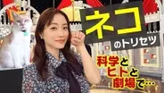 NHK、空前のネコブームに科学で迫る「ネコのトリセツ」、23日夜
