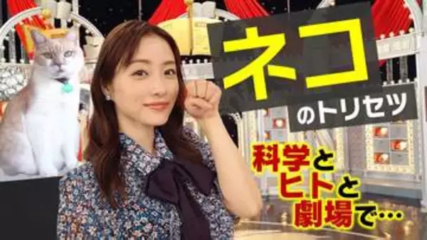NHK、空前のネコブームに科学で迫る「ネコのトリセツ」、23日夜