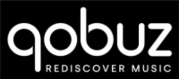 Qobuz、独自システムでAI楽曲を識別。プレイリストなどは人間が選定