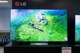 「LG、有機EL TV「OLED evo AI G6」“有機ELの高画質引き出す”Hyper Radiant Color搭載」の画像1