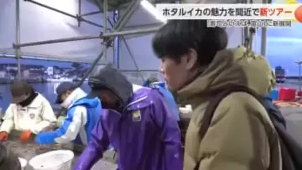 富山湾の神秘を手に取って体感　ホタルイカの発光現象を間近で観察するツアーが始動　豪華朝食セットも