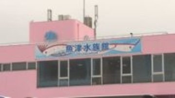 「竜宮城のよう」と話題！ 魚津水族館が外壁を一新、鮮やかな“さくら色”に変身した理由とは？