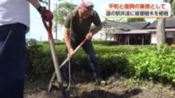 被爆した柿の木の苗木、南砺市・道の駅井波に植樹　「平和の使者」次世代へ