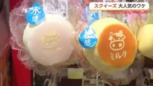 子どもたちを虜にする『スクイーズ』なぜ流行？ ストレス研究の専門家が明かす4つの理由