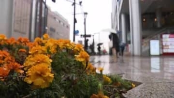 県内は雨が降っているところが多くぐずついた天気　夜にかけて天気は回復へ