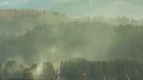 来春のスギ花粉は平年の1.4倍、富山県森林研究所が予測　例年よりやや多くなる見込み