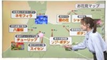 GWの天気予報と富山県内の「お花見マップ」【気象予報士 解説（ソラをライブ）】