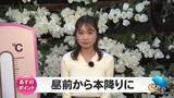 「となみチューリップフェアは今週末25日ごろ満開の発表か　最初の週末は絶好の行楽日和に【ソラをライブ】」の画像1