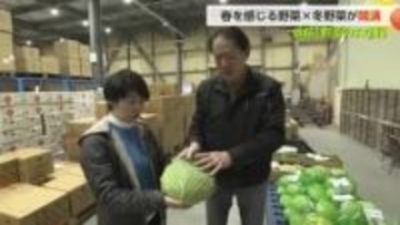 市場に春告げる野菜が続々登場　冬野菜は今が最高の甘さ　レンコンの食べ比べ【追跡！野菜のお値段】