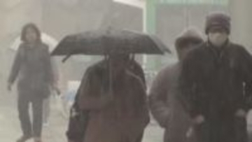 富山市で21日ぶり積雪 平野部で3cm