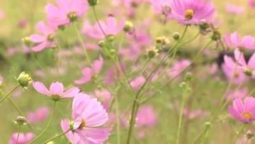 4日の富山、4観測地点で今季一番の冷え込み 富山市は初めて15℃下回る