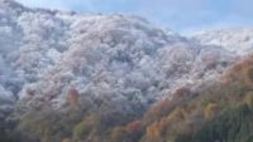 富山県内は半分の観測地点で今季一番の冷え込みに　神通峡では紅葉と雪化粧した山が美しい景色見せる