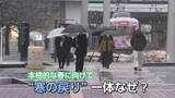 「春の寒の戻り、富山で2センチの積雪　タイヤ交換はもう少し待って【気象予報士 解説（ソラをライブ）】」の画像1