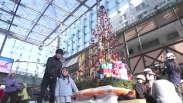 氷を使わないスケートリンク「エコリンク」 営業始まる 今年はダブルツリーがお目見え