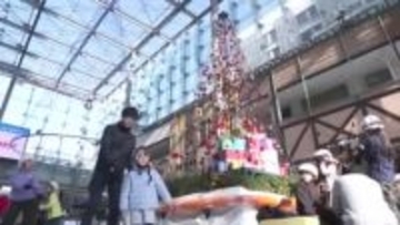 氷を使わないスケートリンク「エコリンク」 営業始まる 今年はダブルツリーがお目見え