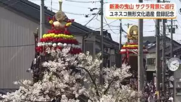 ユネスコ登録記念で新湊の曳山が桜の内川沿いを巡行　地元住民も「祭りが2度きている感じ」と胸躍らす