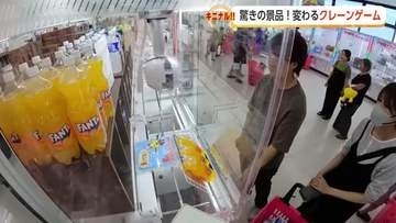 物価高でお得感高いクレーンゲームの人気再燃！キャベツにタマゴにトイレットペーパーも日用品が景品に