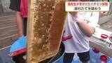 「今年で9回目の高校生のまちなか養蜂、園児51人がとれたてハチミツを口に　「あまいにおい」と歓声」の画像1
