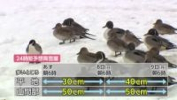 富山県内は7日朝から平地30センチ降雪予想　再び冬型の気圧配置が強まる