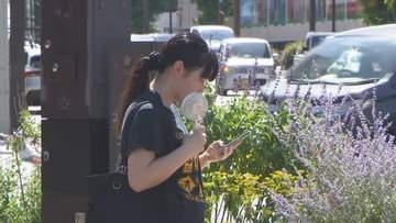 富山・高岡で今年初の猛暑日、午前中からすでに35度超え…昼過ぎには富山市で39度に達する予想