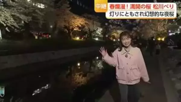 【中継2】春爛漫！満開の桜 松川べり　灯りにともされ幻想的な夜桜