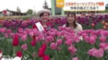 となみチューリップフェア開幕！　今年は350万本、75回目の節目を迎える【中継】