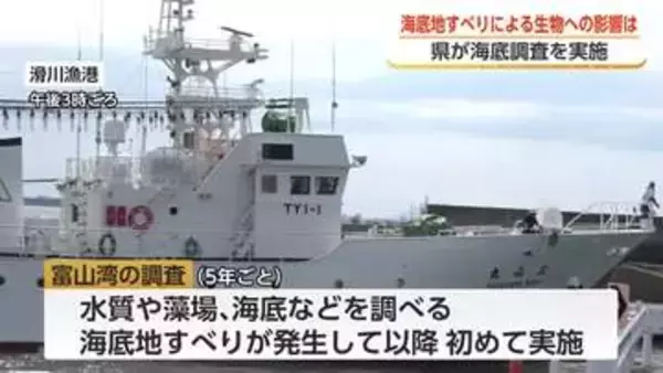 能登半島地震が富山湾の生態系に与えた影響を調査　今年で3回目