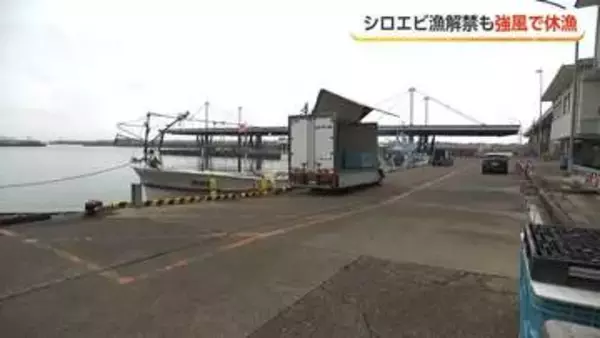 「シロエビ漁、解禁初日に4年ぶり休漁　強風が春の風物詩を直撃」の画像