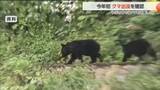 「富山市で今年初のクマ目撃　山菜取りシーズンと重なり警戒強化　地区センターから500mに「小柄なクマ」」の画像1
