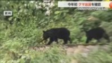 富山市で今年初のクマ目撃　山菜取りシーズンと重なり警戒強化　地区センターから500mに「小柄なクマ」