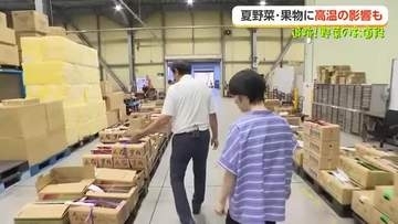地場野菜が一気に増えて市場ではセリが30分早まる　旬の県産トウモロコシで作る「甘じょっぱい夏ご飯」