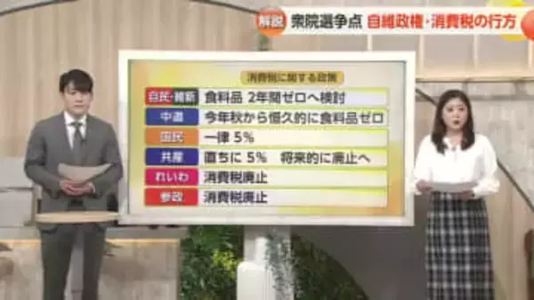 衆院選　富山県内各選挙区の「構図」と「争点」を解説　消費税に関する政策は【動画あり】