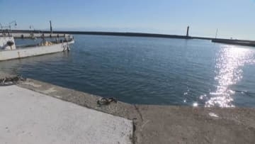 富山県氷見市の漁港で軽自動車が海に転落、車内にいた68歳男性が死亡